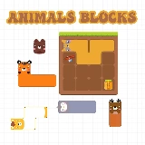 Animals Blocks