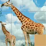 Animals Slide Puzzle