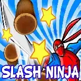 Slash Ninja