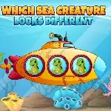 Which Sea Creature Looks Different